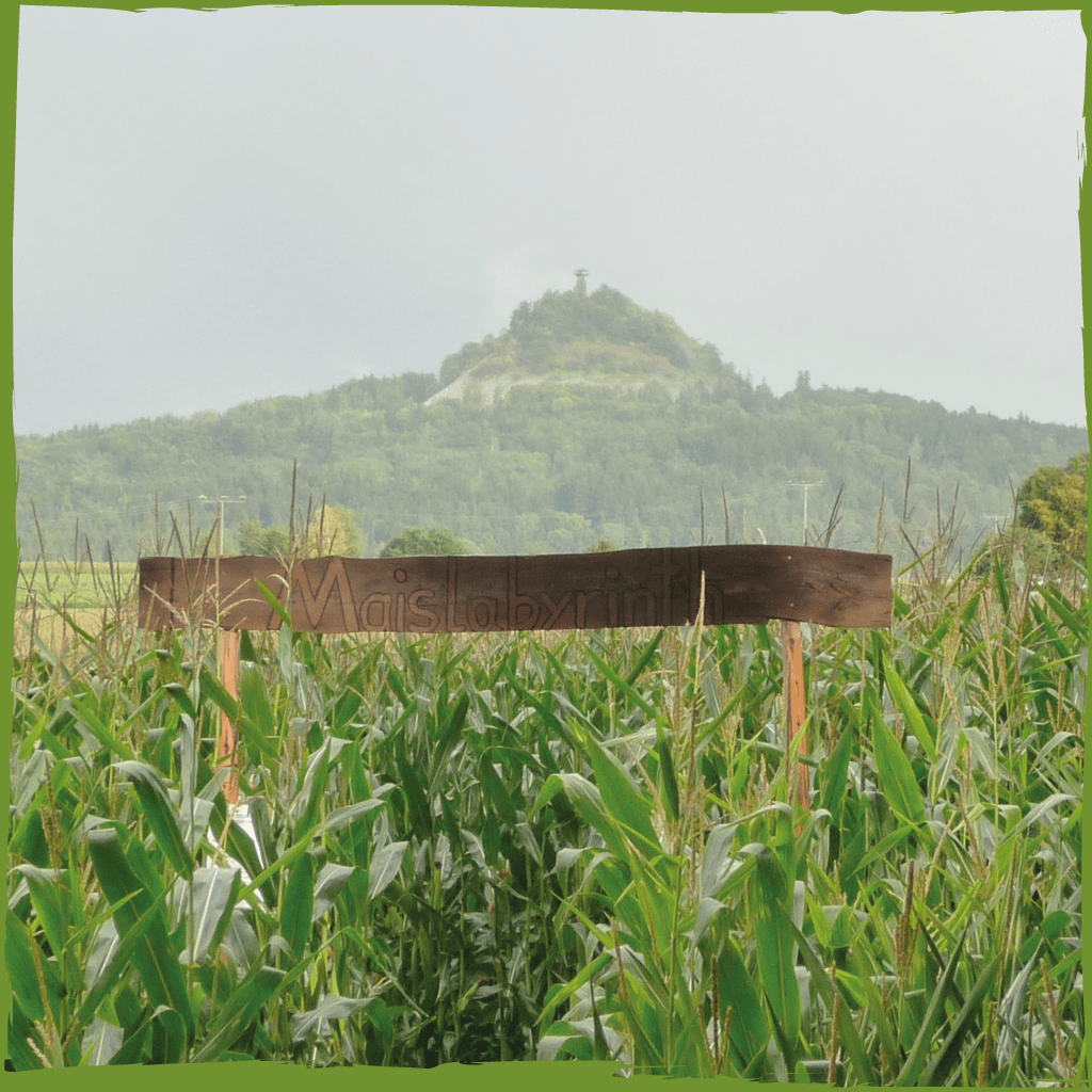 Maislabyrinth mit Blick auf Rauhen Kulm